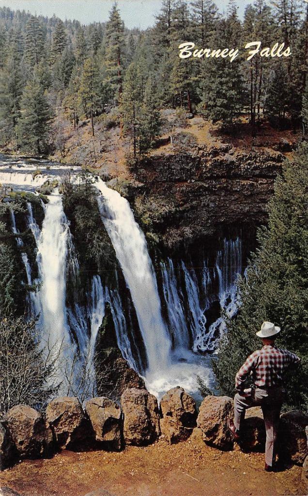 BURNEY FALLS Shasta County, CA Waterfalls c1950s Vintage Postcard