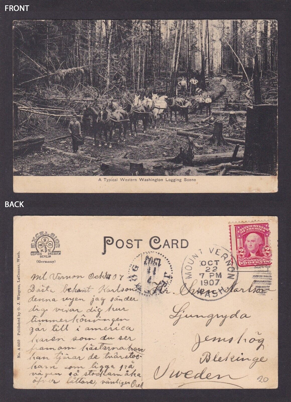 Postcard, United States, Western, A Typical Western Washington Logging Scene