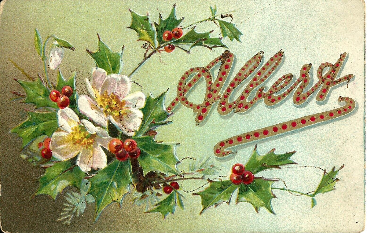 Albert. Raphael Tuck & Sons. #131. Embossed. Floral Postcards. Name Postcards.