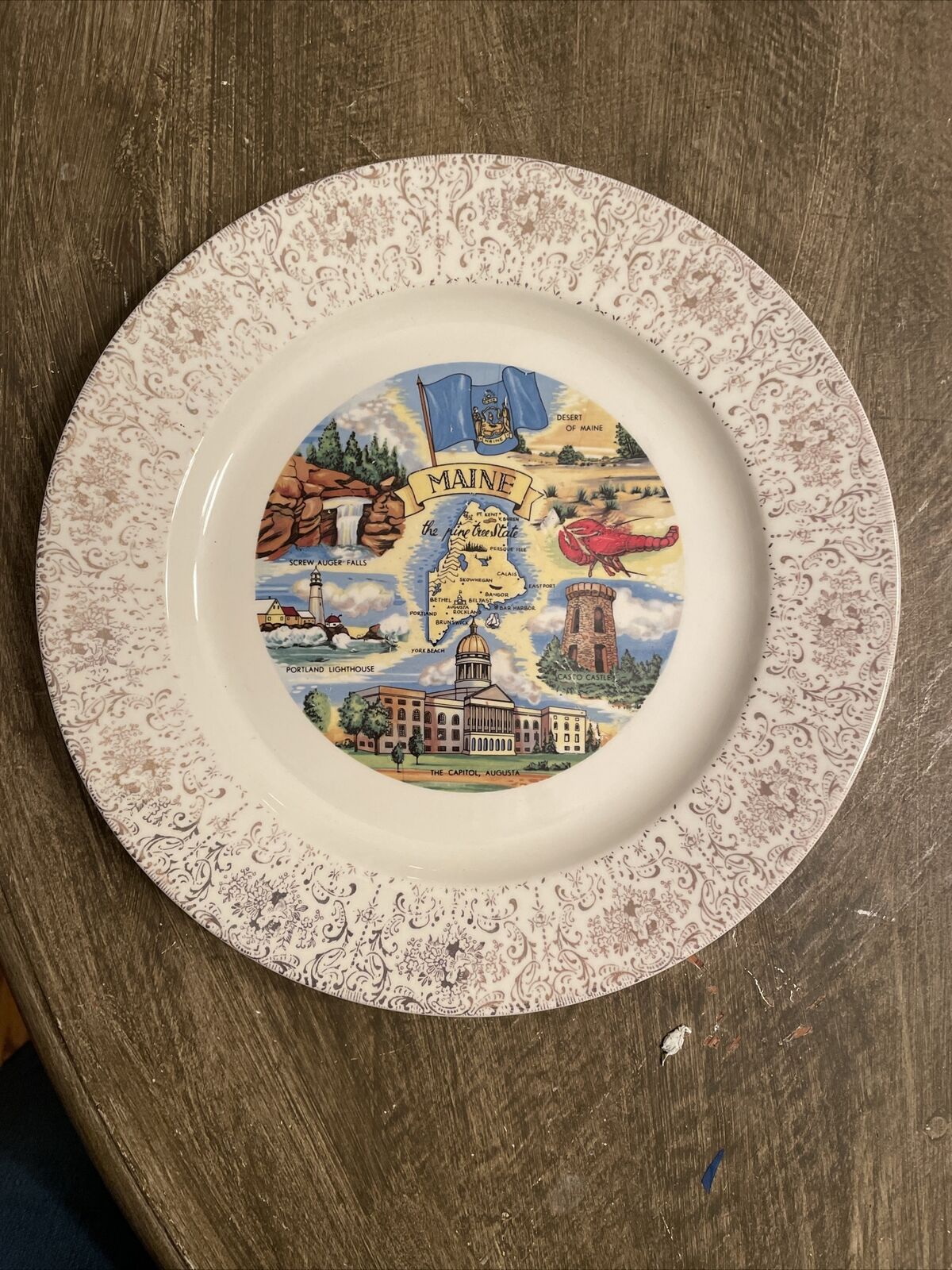 Vintage Maine Souvenir China  Plate