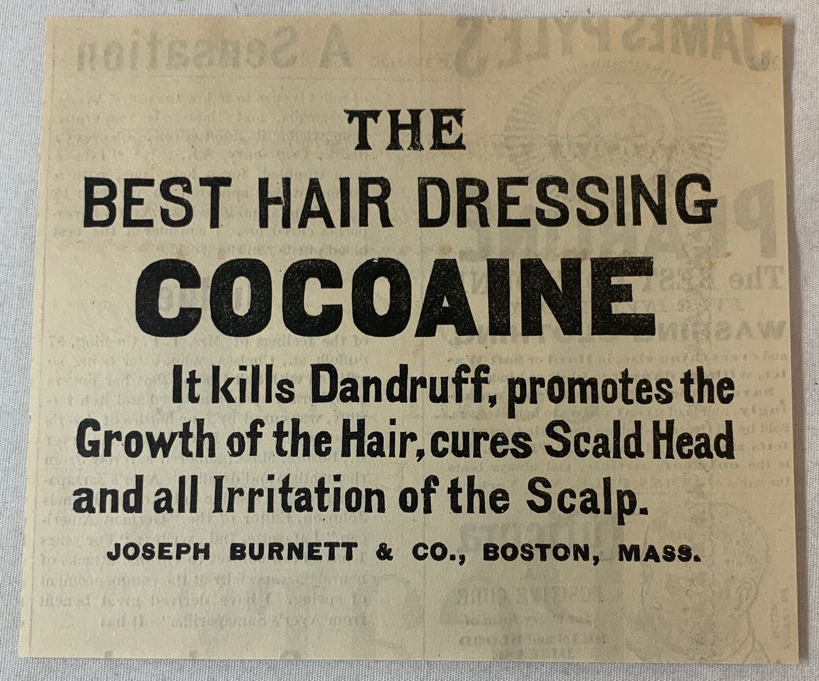 1885 magazine ad ~ COCOAINE - THE BEST HAIR DRESSING ~ Cocaine