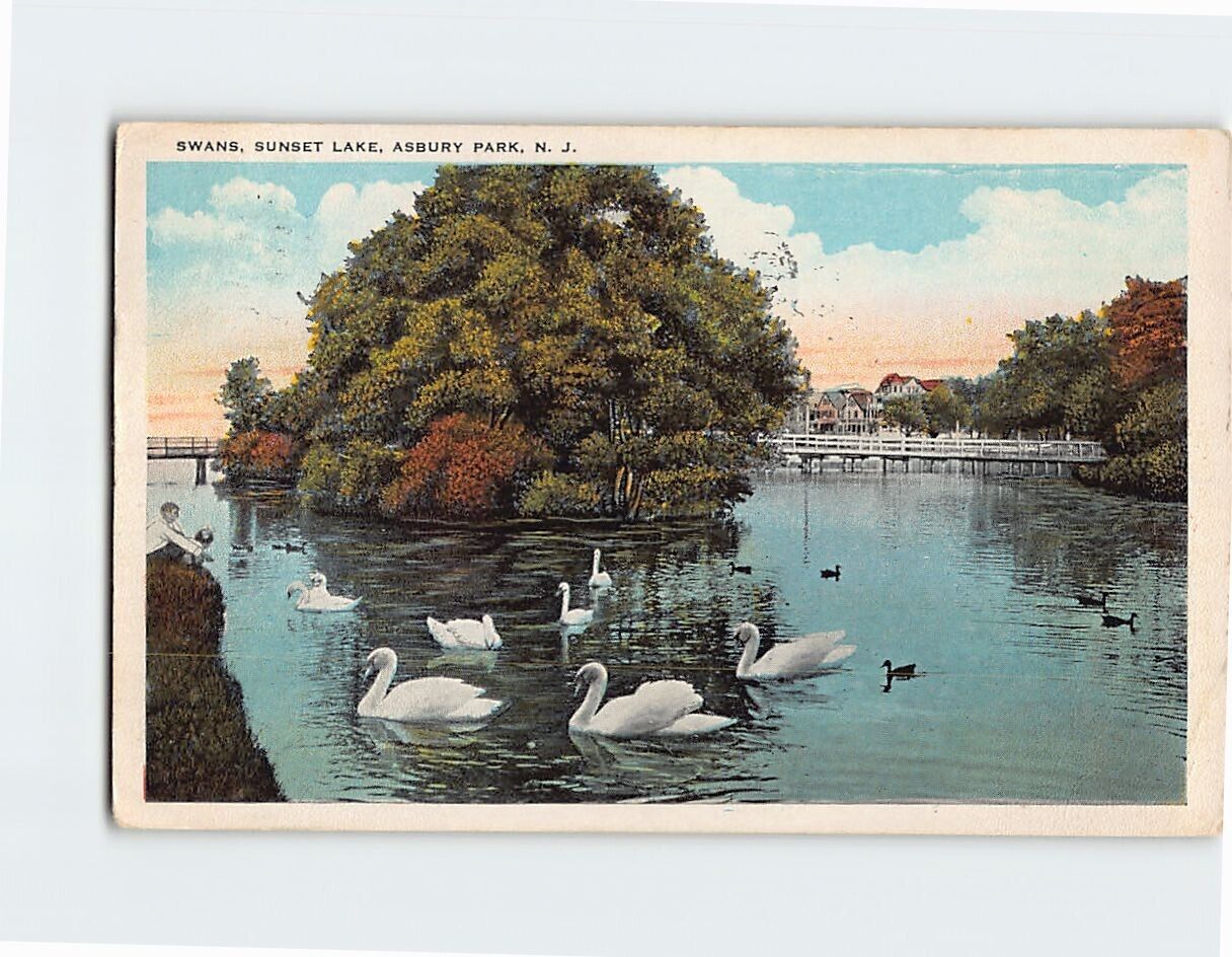 Postcard Swans at Sunset Lake Asbury Park New Jersey USA