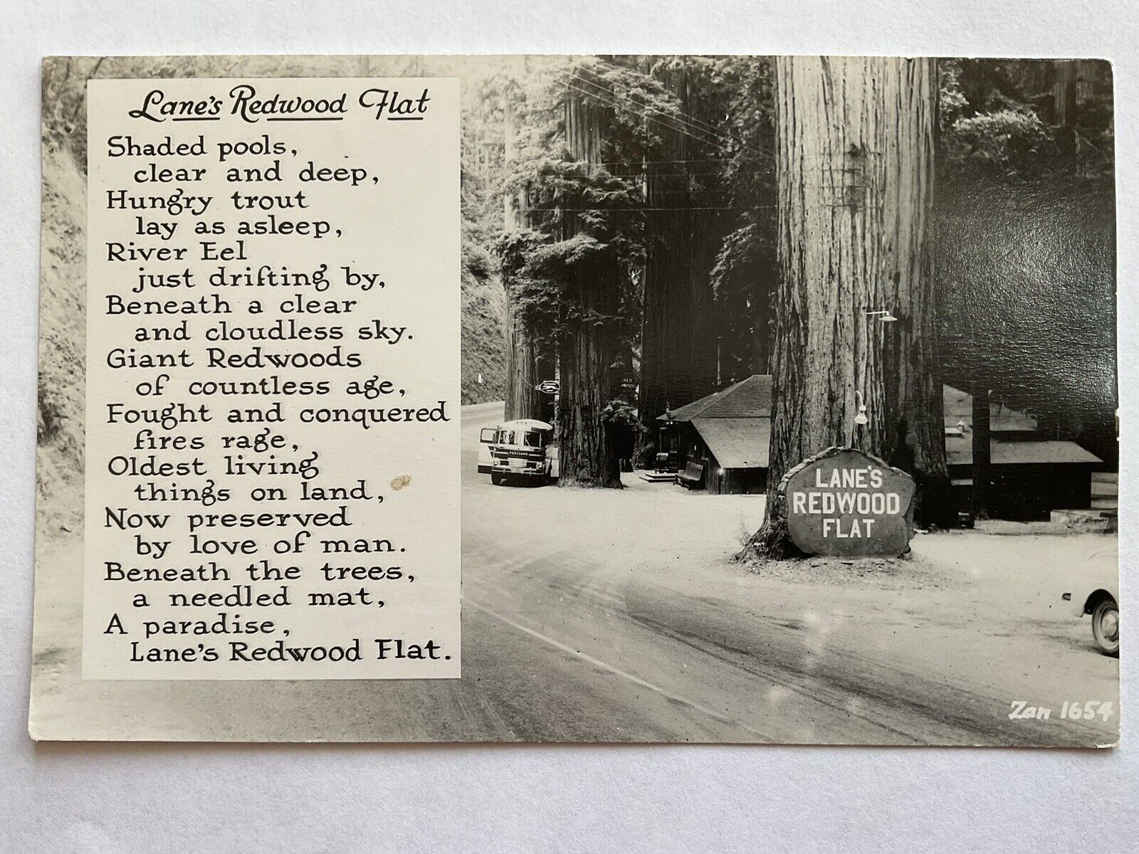 California Real Photo Postcard Lane’s Redwood Flat