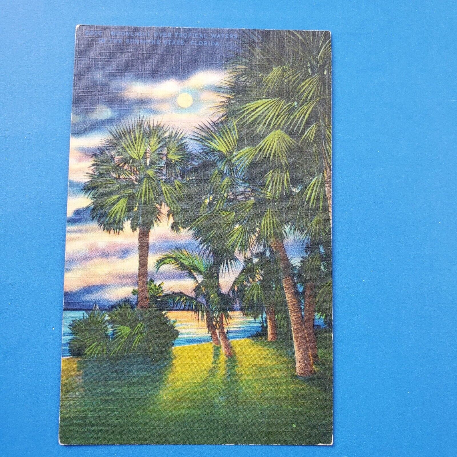 Moonlight Over Tropical Waters Postcard Divided Posted 1946