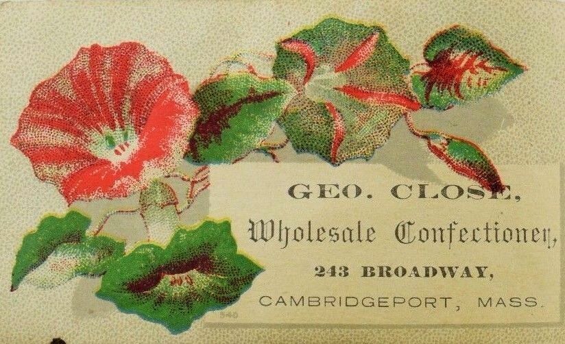 1870\'s-80\'s Geo. Close Wholesale Confectioner Morning Glories P66