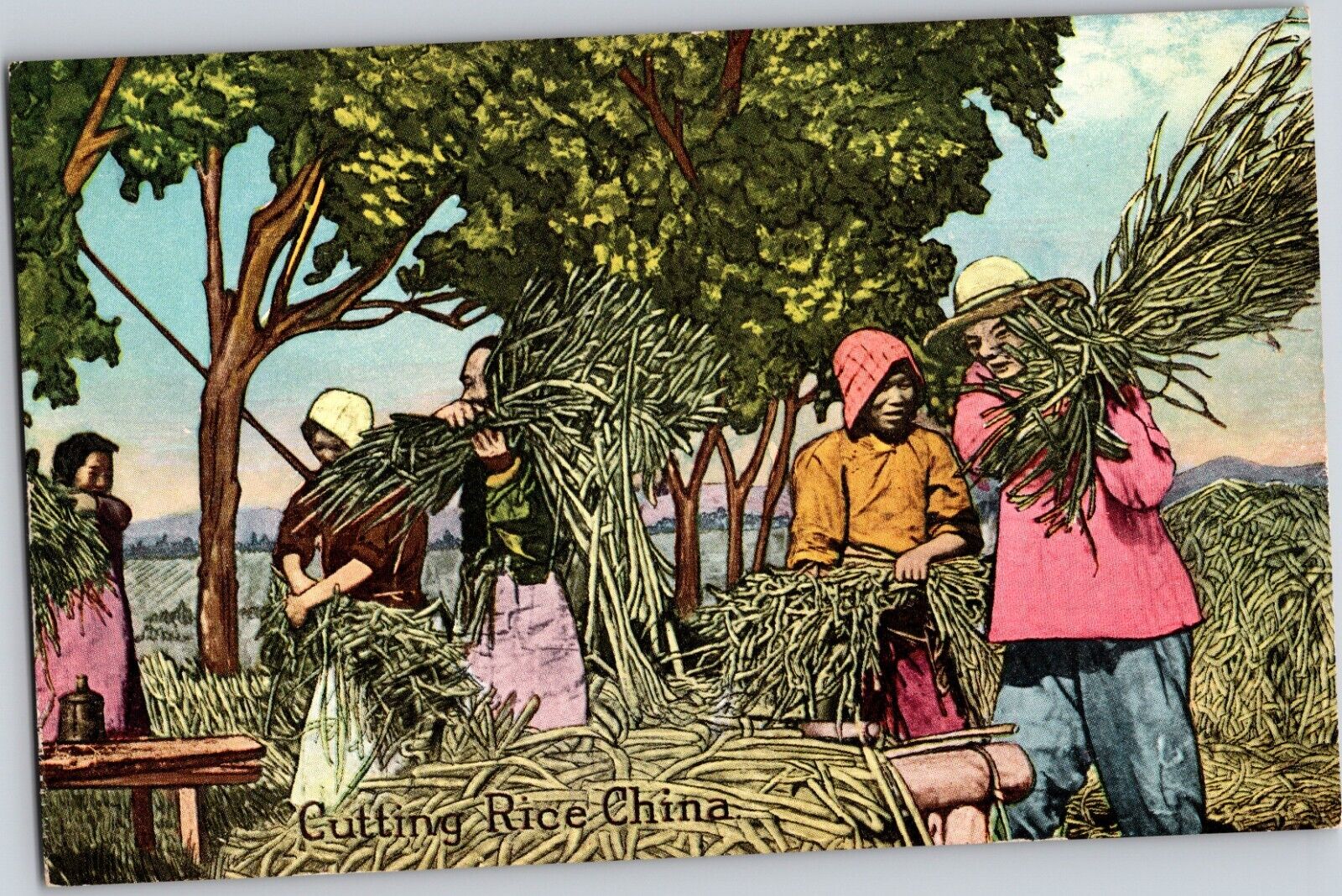 c. 1910 Vintage Antique Postcard Cutting Rice - China - Chinese Rice Fields