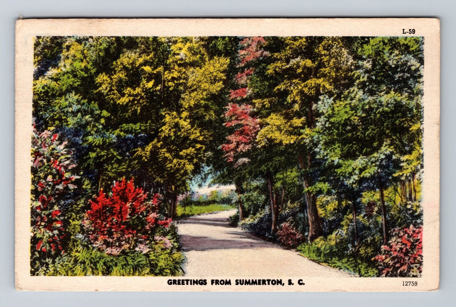 Summerton SC-South Carolina, Scenic General Greetings, Vintage c1952 Postcard