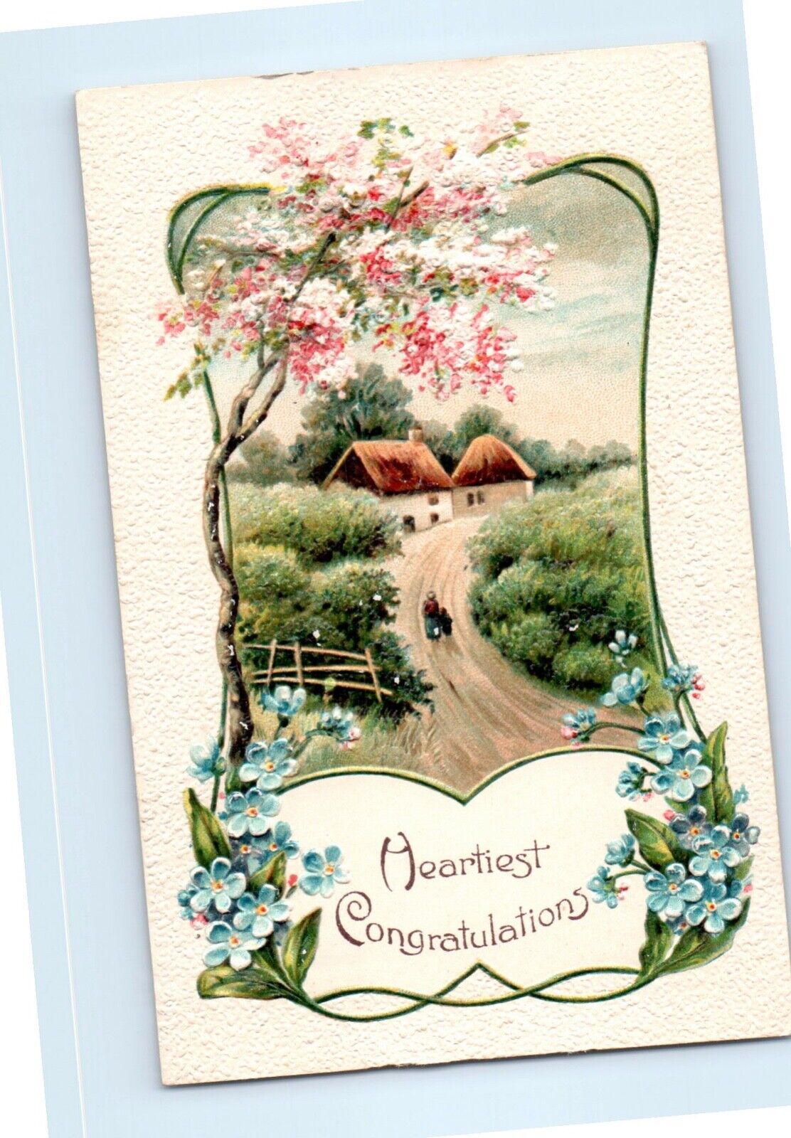 Vintage 1912 Embossed Heartiest Congratulations Postcard Summer Pastures