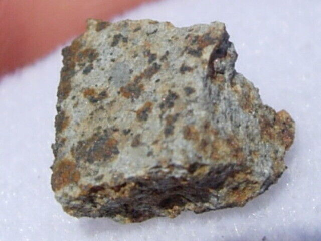 .952 grams Berduc Meteorite ( L6 ) cut fragment fell 2008 in Argentina with COA