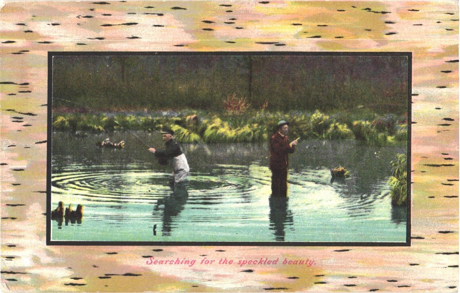 Searching For The Speckled Beauty, Two Men Busy Fishing Postcard