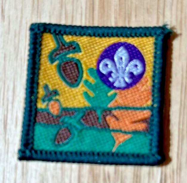 VINTAGE UK Scouting Activity Badge / Patch MINT Condition