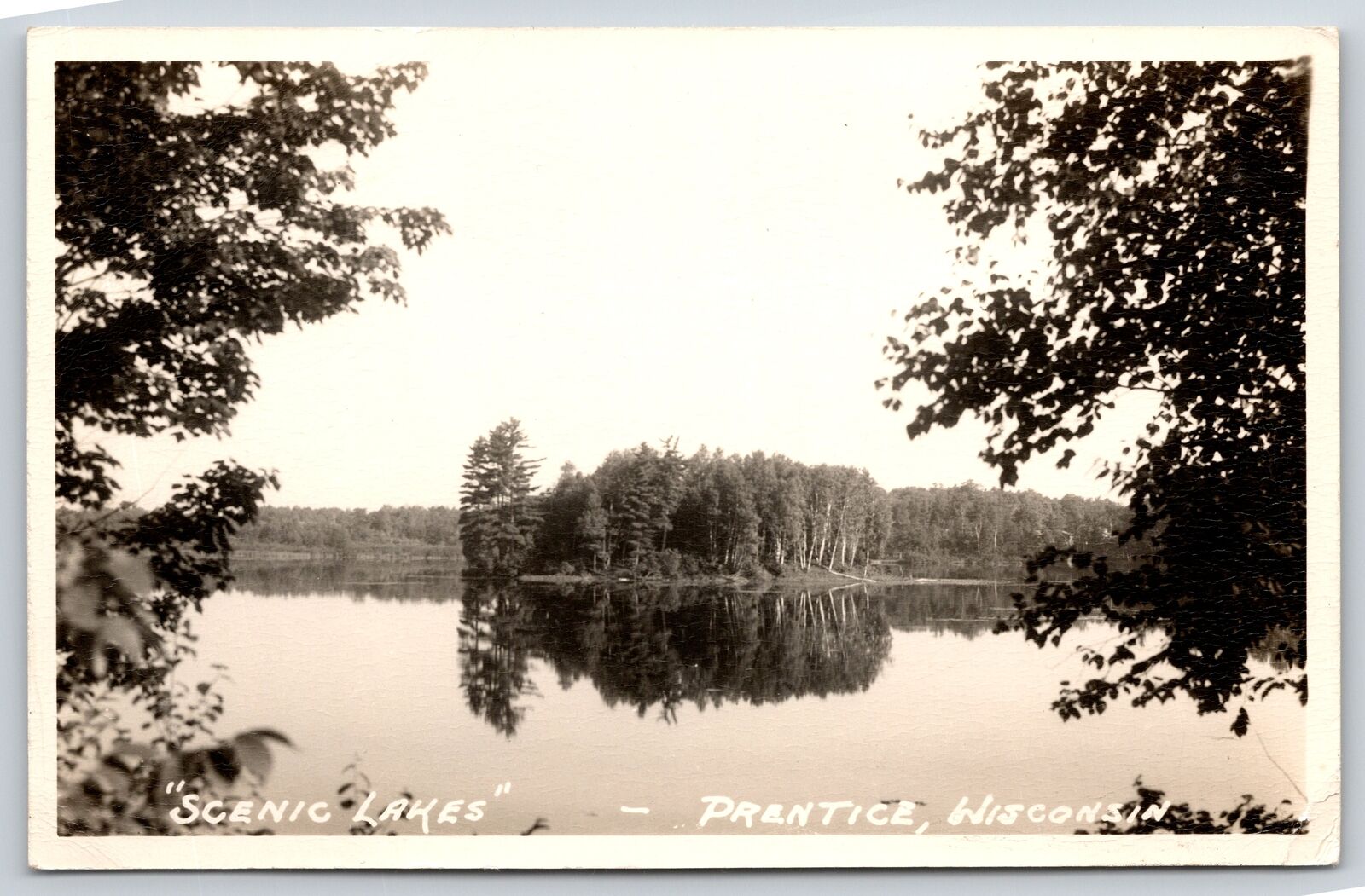Prentice Wisconsin~Scenic Lakes View From Shore~Island Timber~c1930-50 RPPC