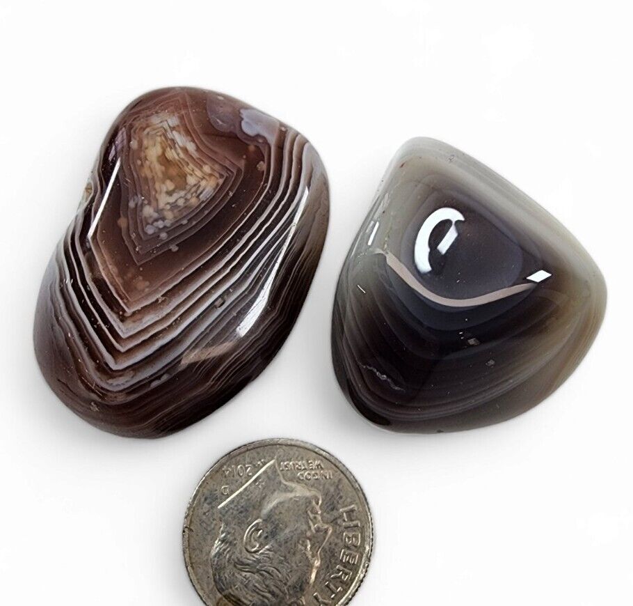 Agate Botswana Polished Stones 34.7 grams 2 Piece Lot