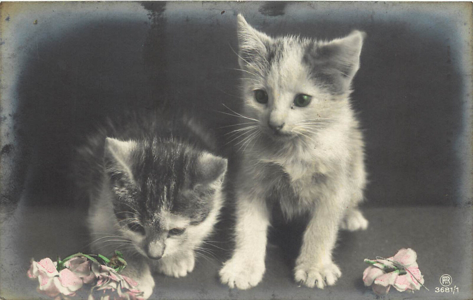 c1910 RPPC Postcard Hand Colored Kittens and Flowers RPH 3681/1