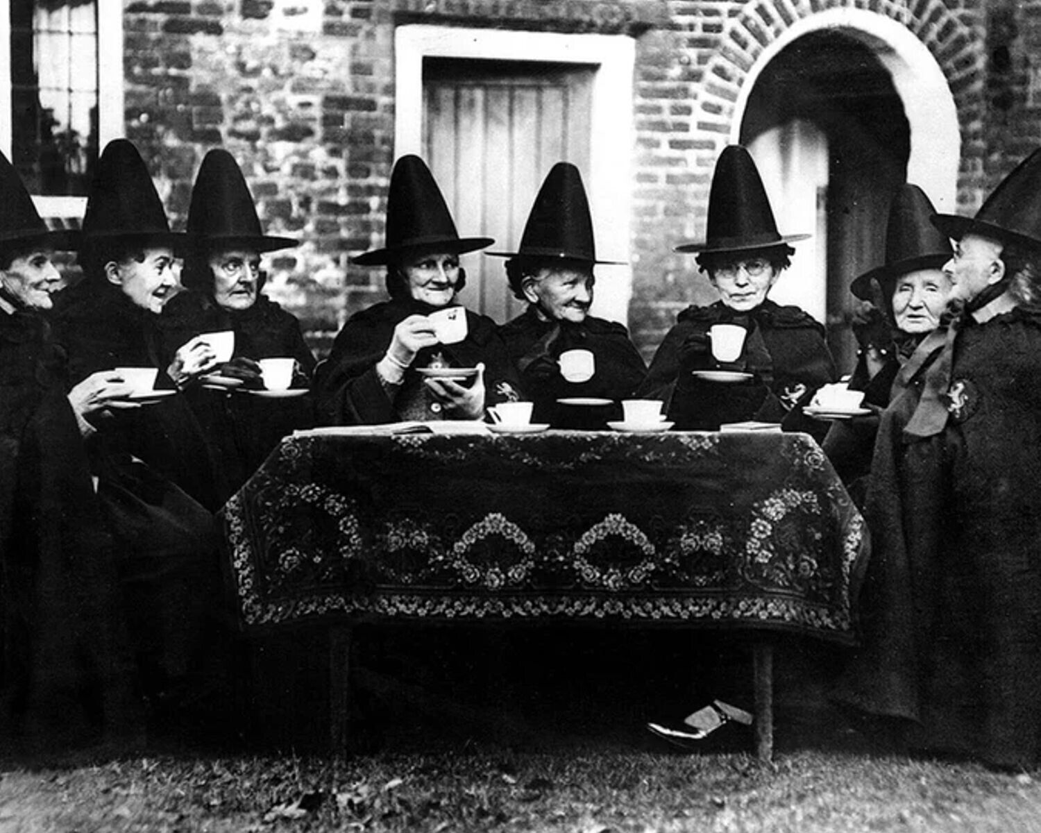 8 Witches Tea Time Dear 1901 8 x 10 Photo reprint  Halloween Art