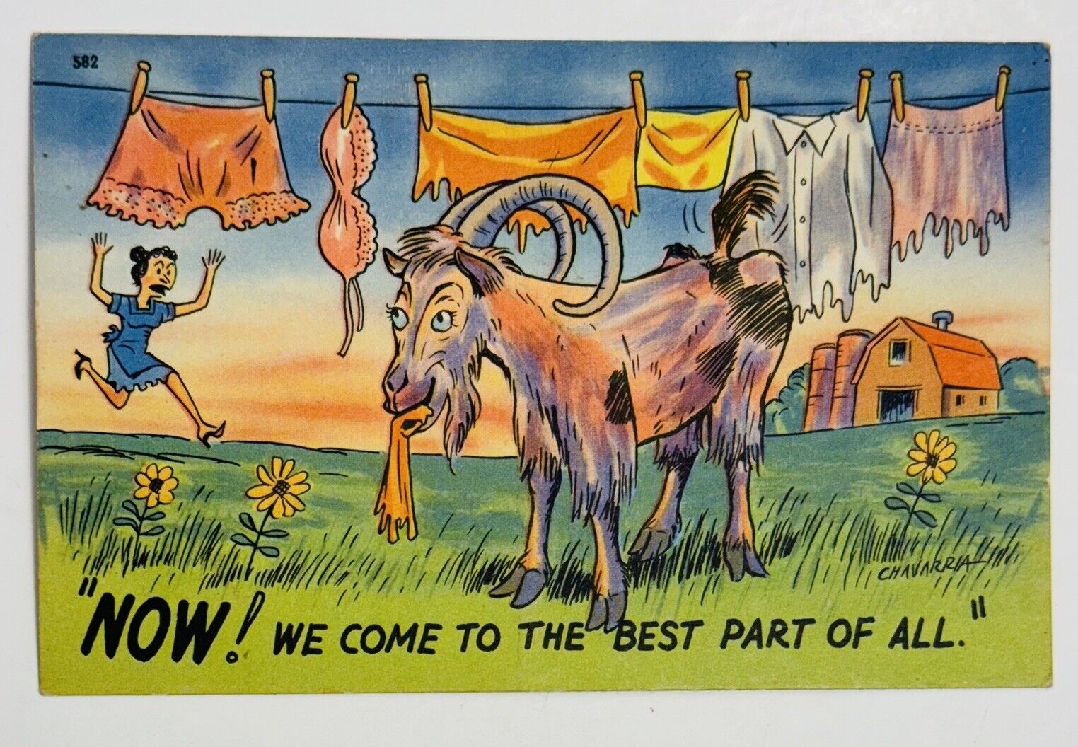 Vintage Postcard Comical Goat Eating Laundry Farm Cartoon UnPosted