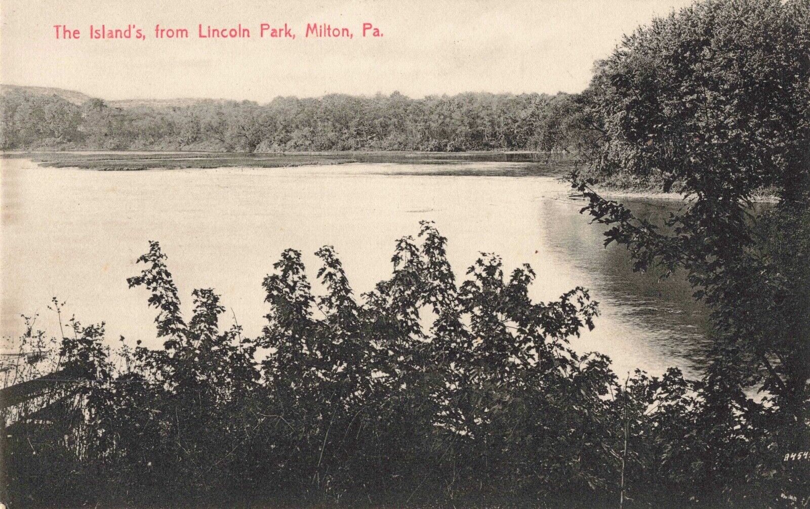 The Islands from Lincoln Park Milton Pennsylvania PA c1910 Postcard