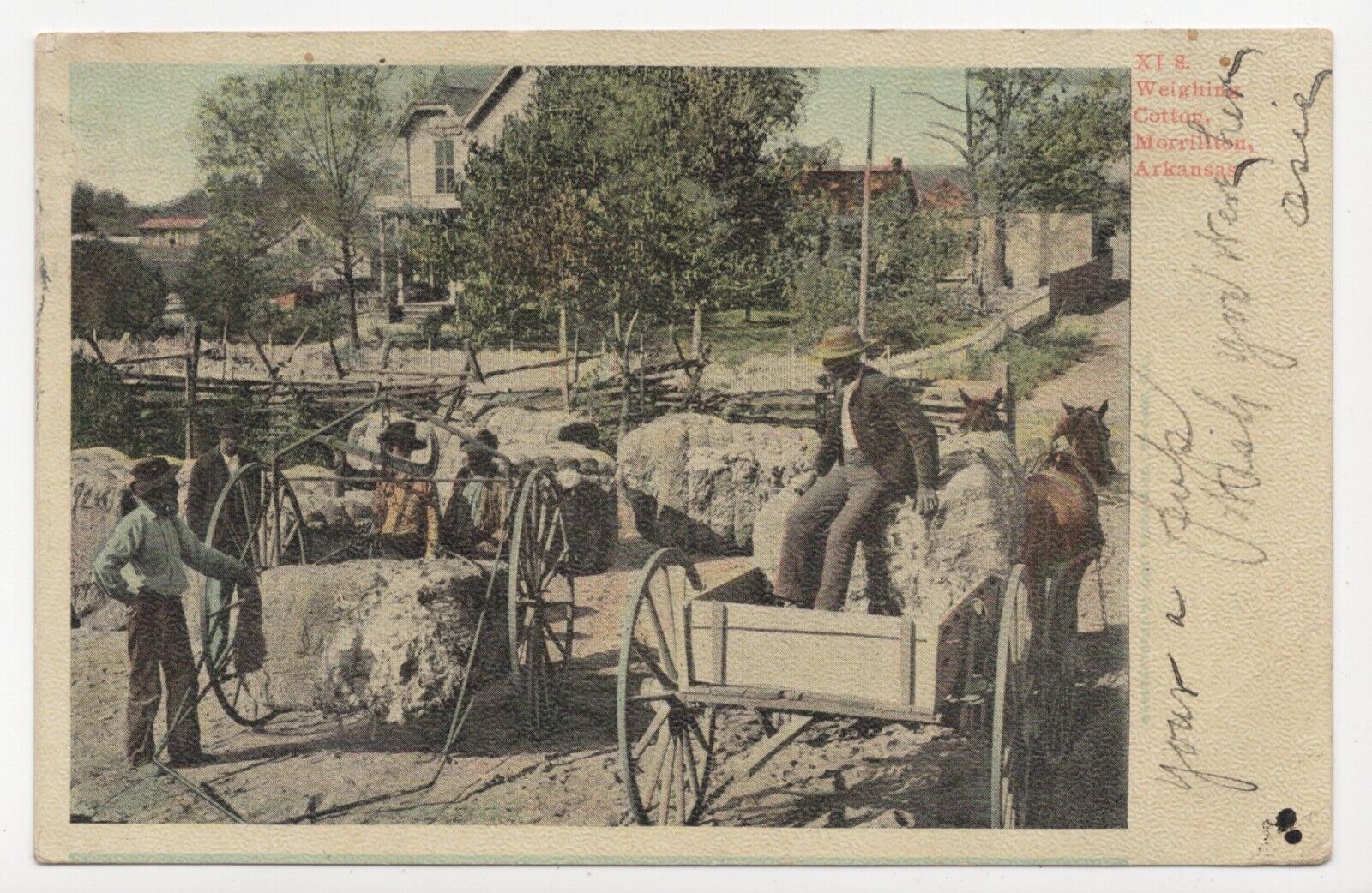Weighing Cotton Morrilton Arkansas Undivided Back Posted 1906  Postcard