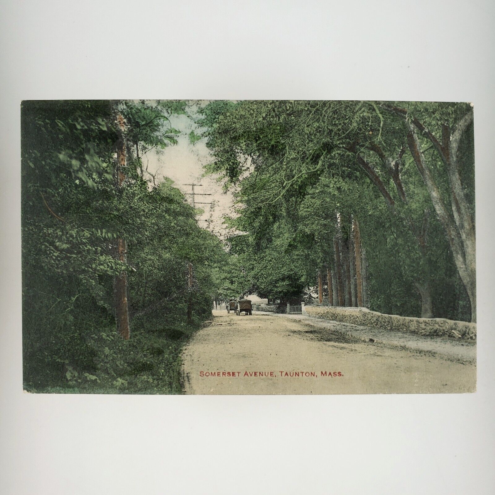 Somerset Avenue Taunton Massachusetts Postcard c1913 Horse Carriage Street A3360