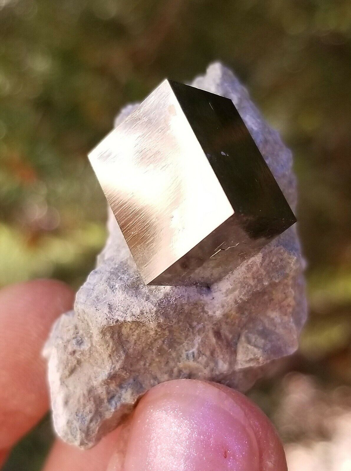 Pyrite Razor Sharp Brilliant Golden Cubic Crystal On Matrix From Spain 3.7 Cm's