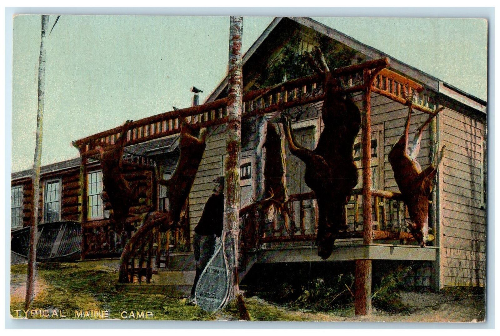 c1910's Typical Maine Camp Scene Maine ME Unposted Moose Deer Hunting Postcard