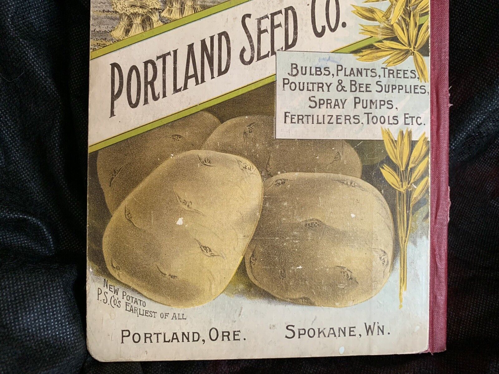 Antique 1908 Portland Seed Co. Catalog Many Illus.