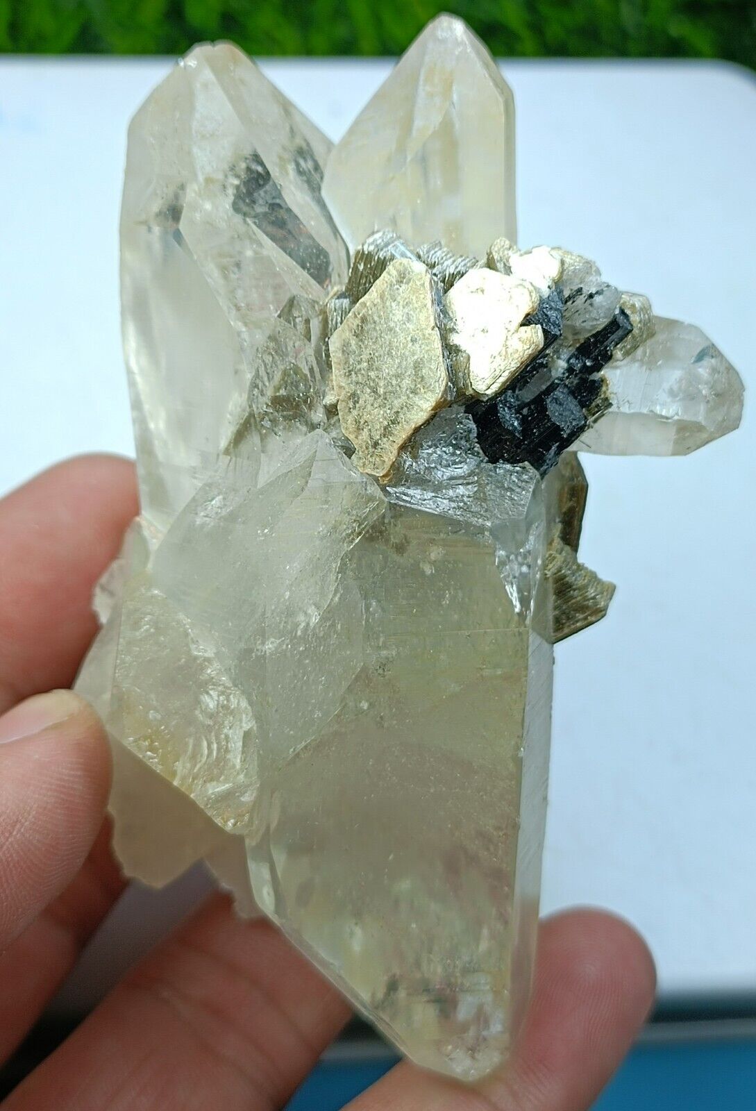 Light Smoky Quartz Twin Crystals Specimen with Black Tourmaline & Muscovite Mica