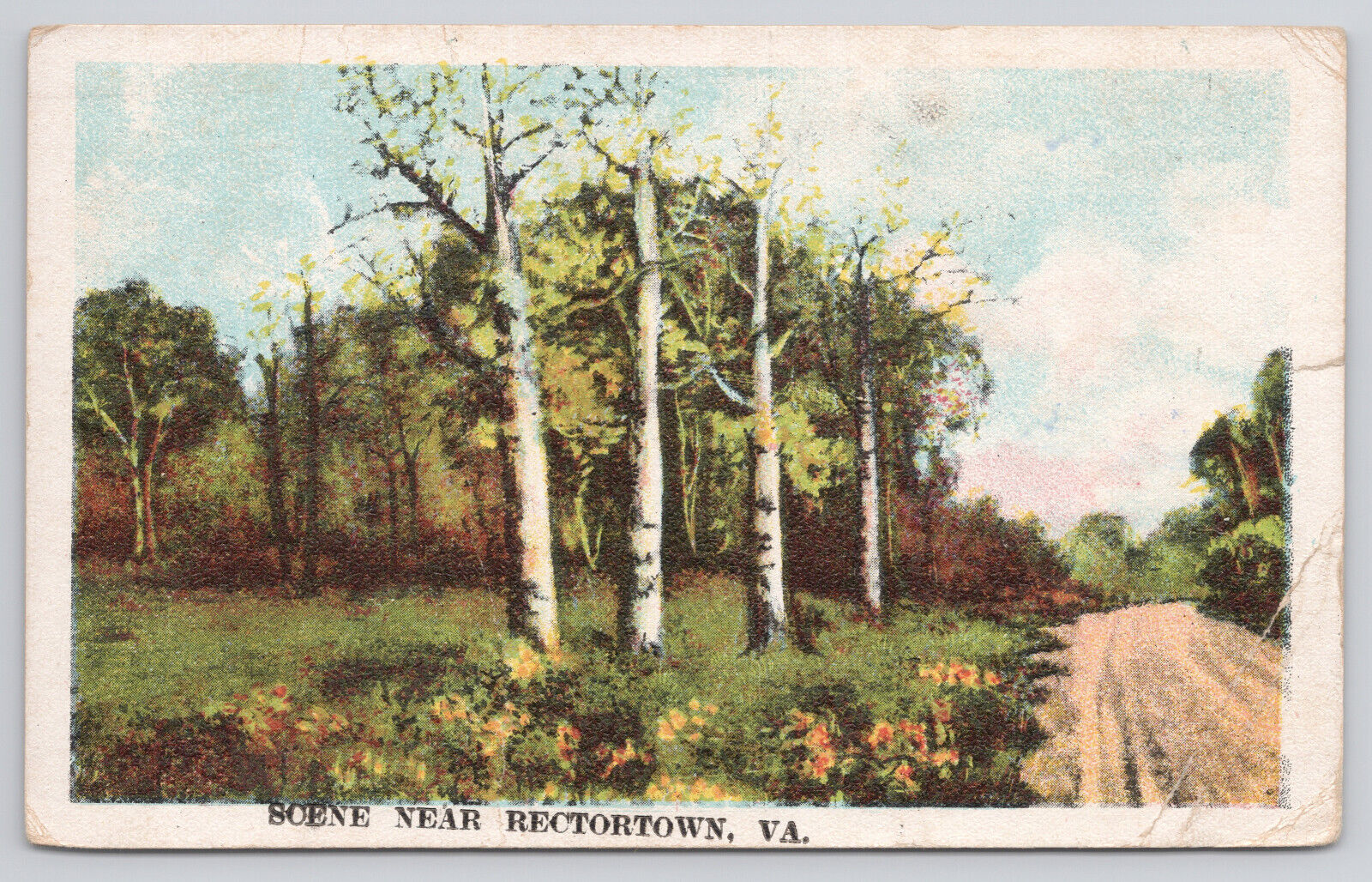 Rectortown Virginia Scene Birch Trees Dirt Road Vintage Postcard 1928