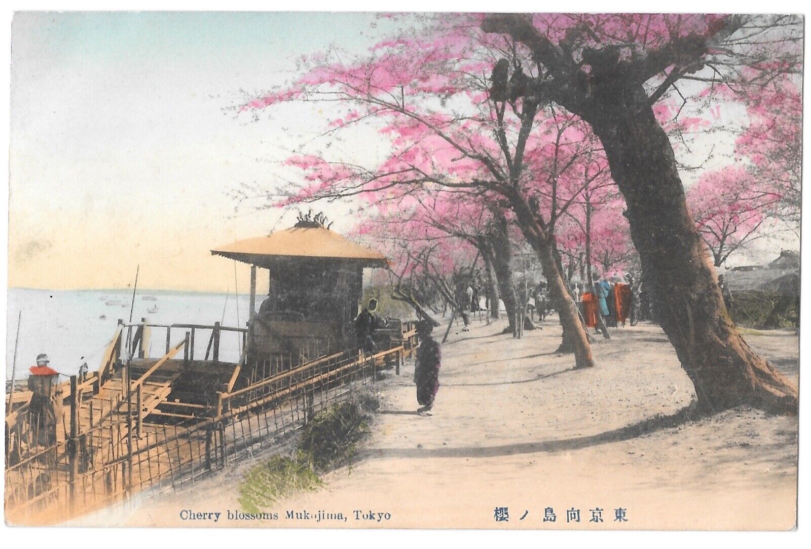 C.1910 PPC Japan, CHERRY BLOSSOMS, MUKOJIMA TOKYO, RIVER Antique Postcard P5