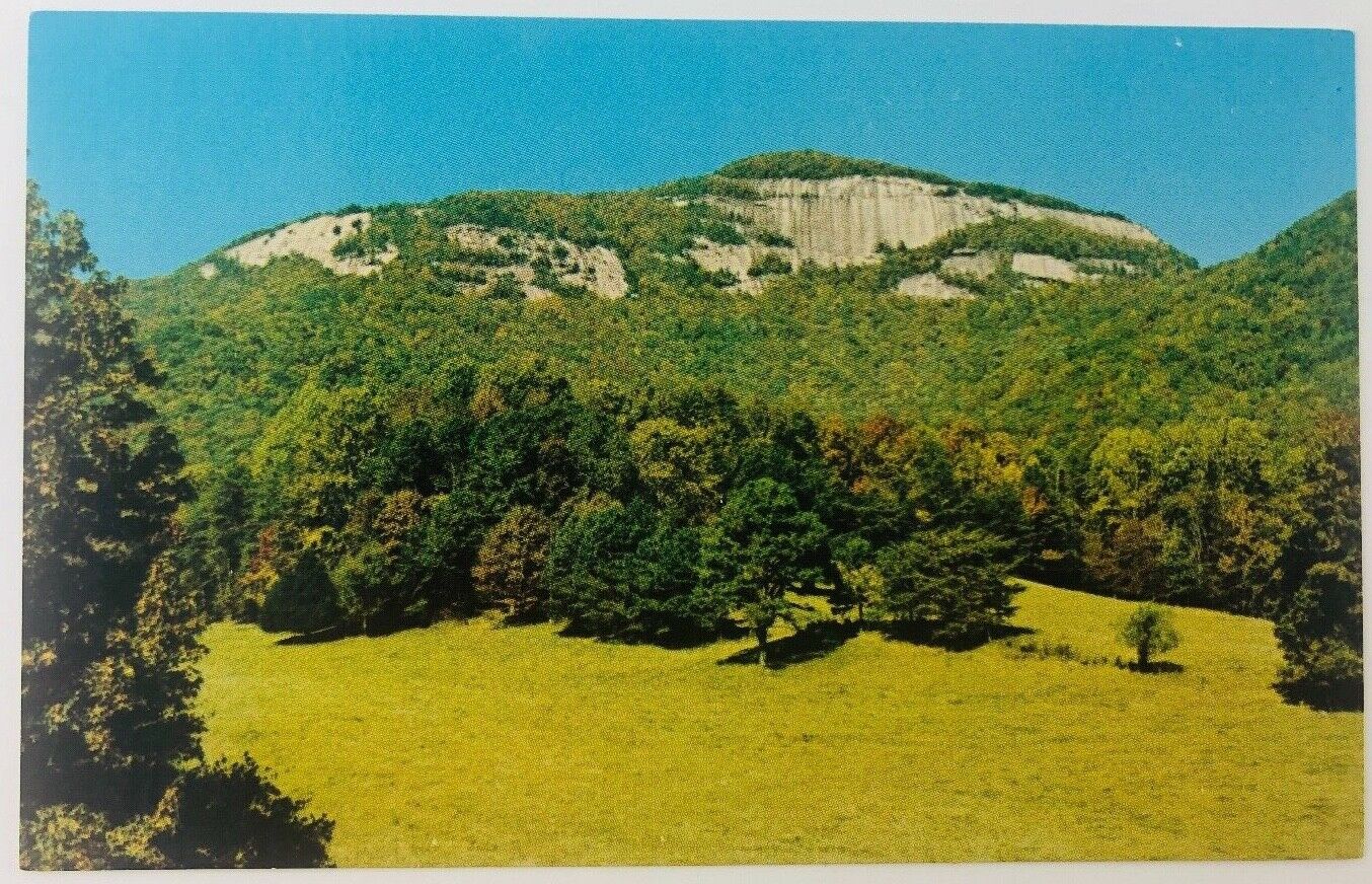 Vintage Table Rock State Park South Carolina SC Table Rock Mountain Postcard