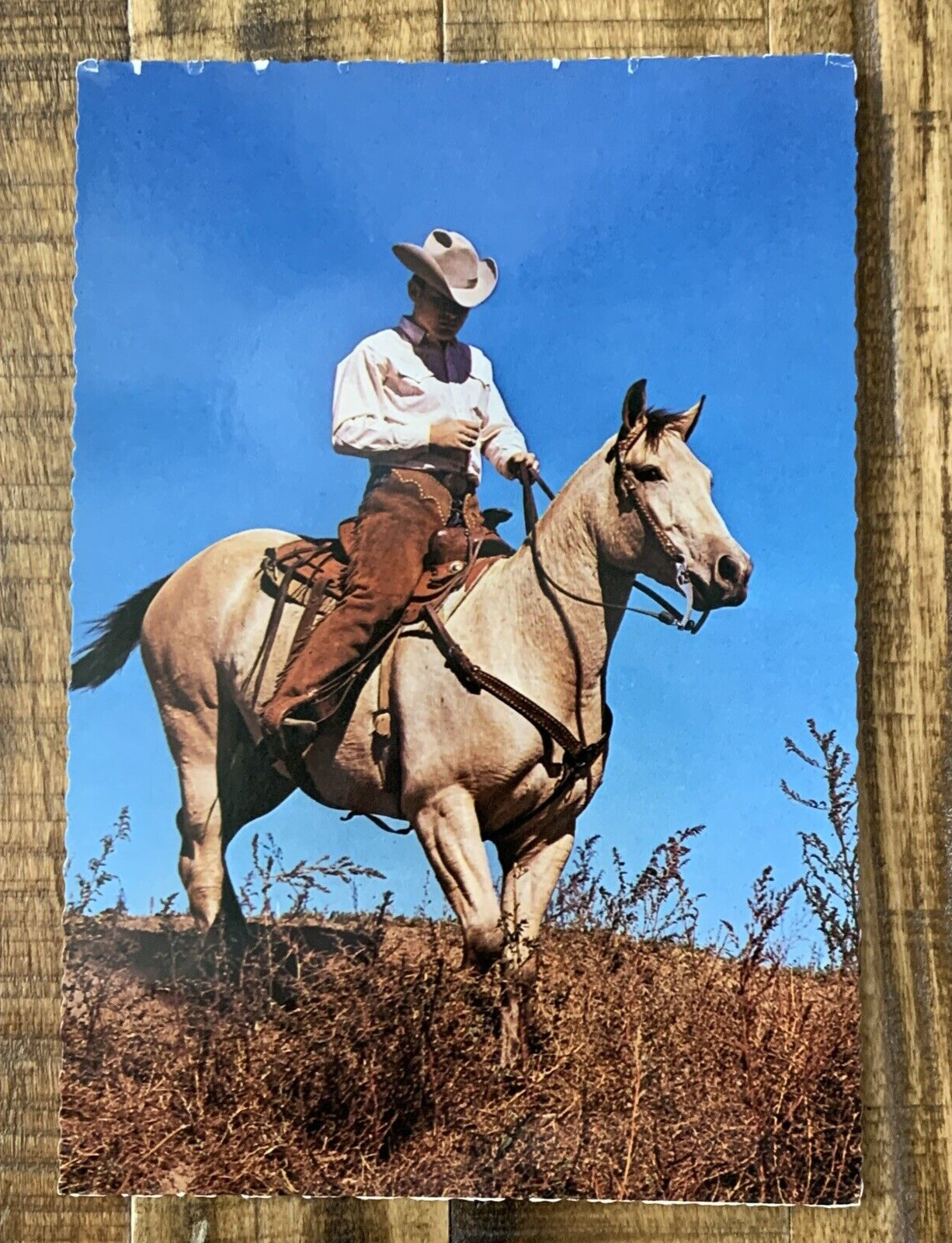 American Quarter Horse Cowboy Scalloped Post Card