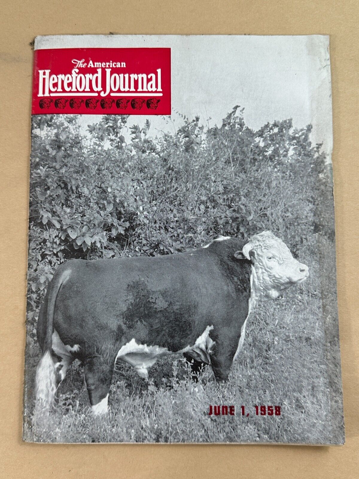 June 1, 1958 American Hereford Journal magazine - ads, photos, articles, etc