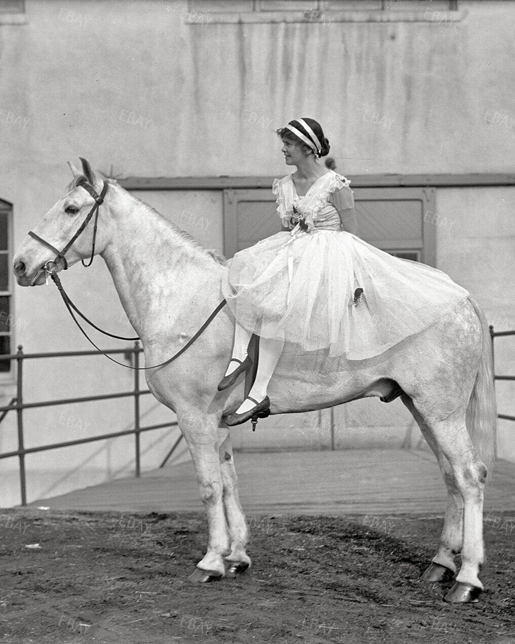 8x10 Poster Print Society Circus Ruth Anderson Riding White Stallion