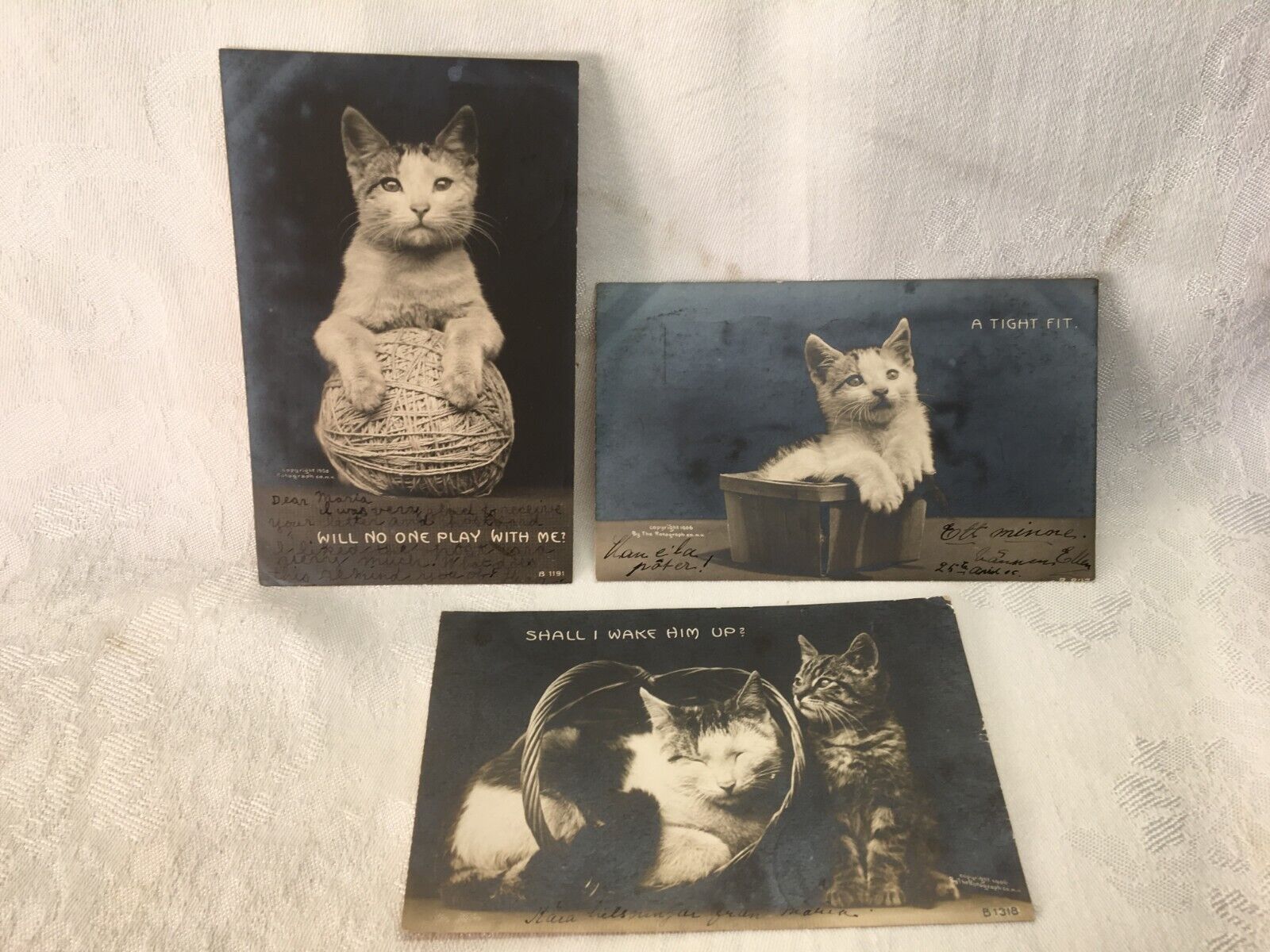 Antique Postcards Cats & Kittens SET OF 3 Rotograph Co.  c1906 Posted 1906 b/w