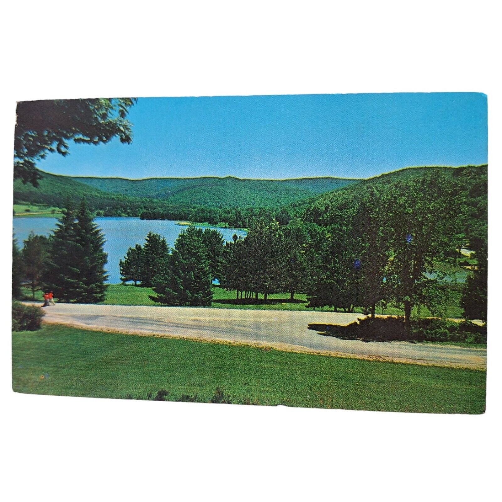 Postcard Red House Lake Allegany State Park Red House New York Chrome Posted