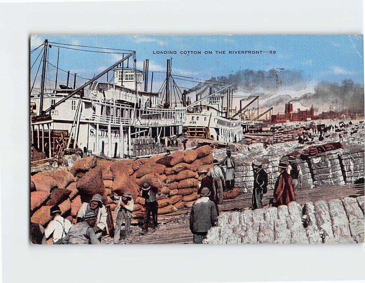 Postcard Loading Cotton on the Riverfront USA