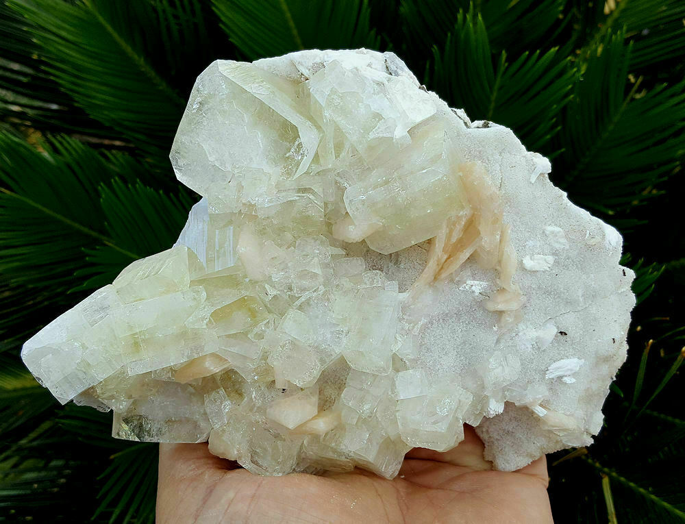 1.5 LB Big 6.75 Inch World Class Apophylite Crystal with Stilbite from India
