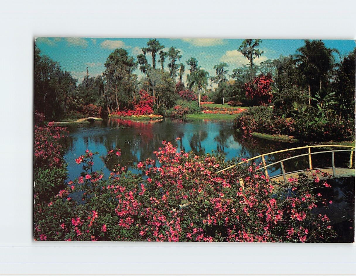 Postcard Famous Cypress Gardens, Florida