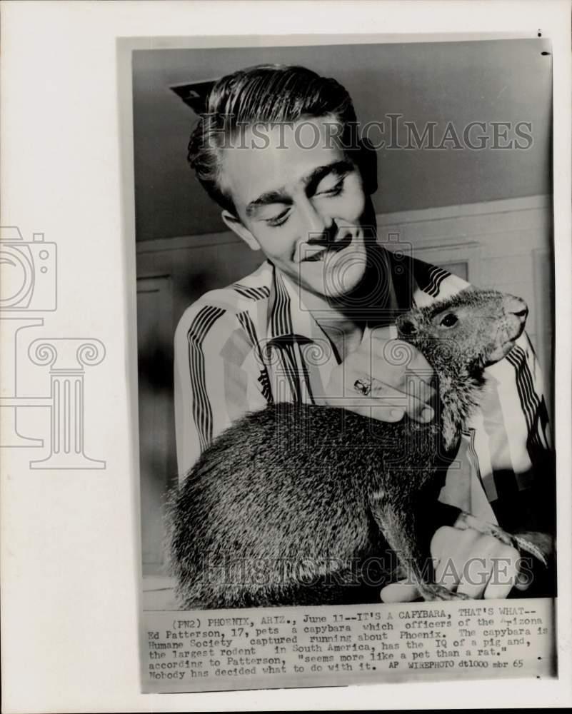 1965 Press Photo Ed Patterson pets capybara at Phoenix humane society