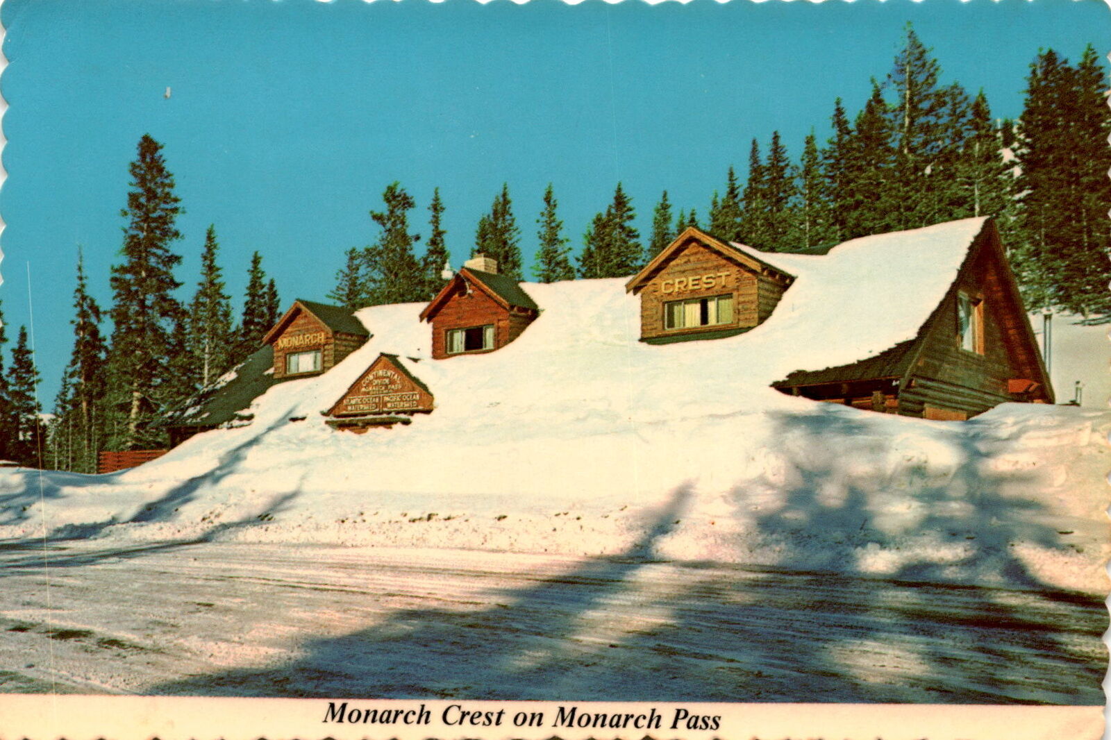 Vintage Monarch Crest Postcard: Snowed-In Winter Scene