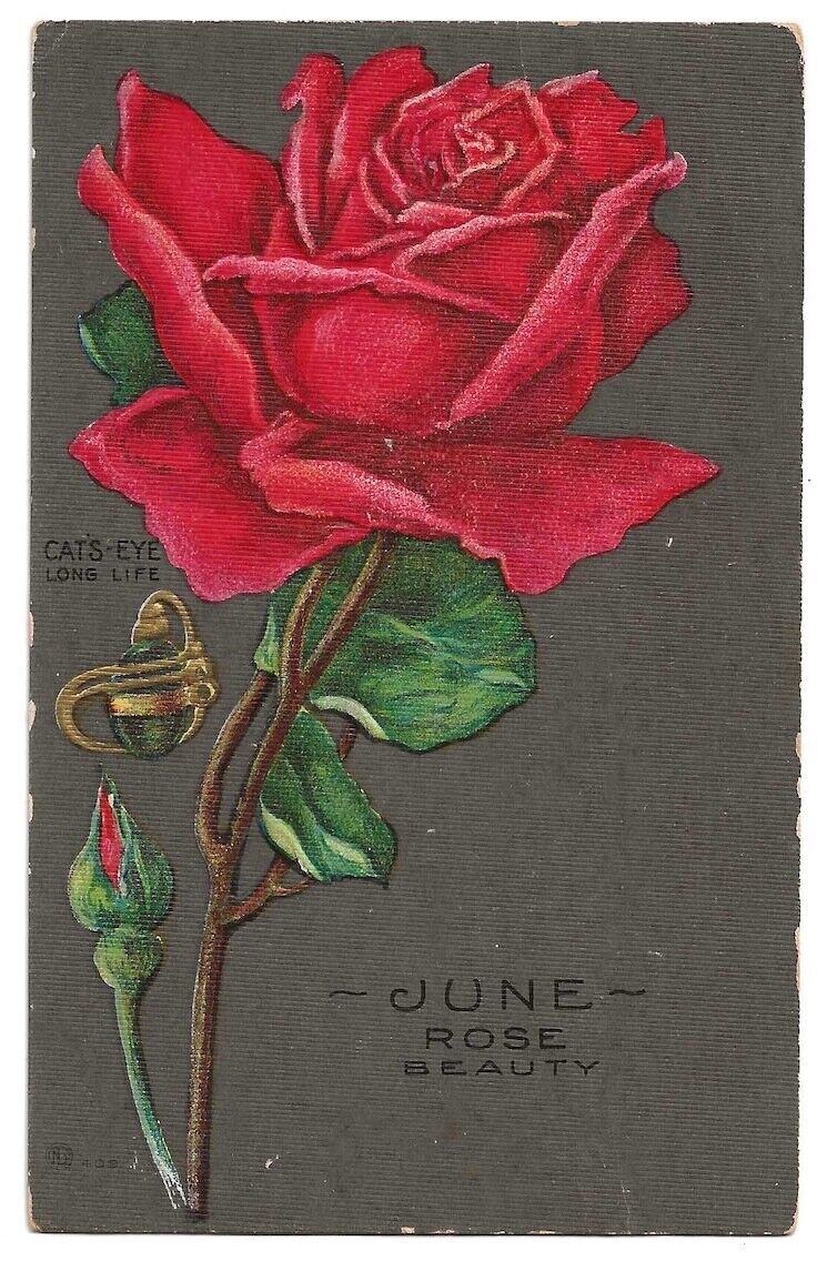 June Birth Flower Rose c1910 Cats-Eye red flower, vintage embossed postcard