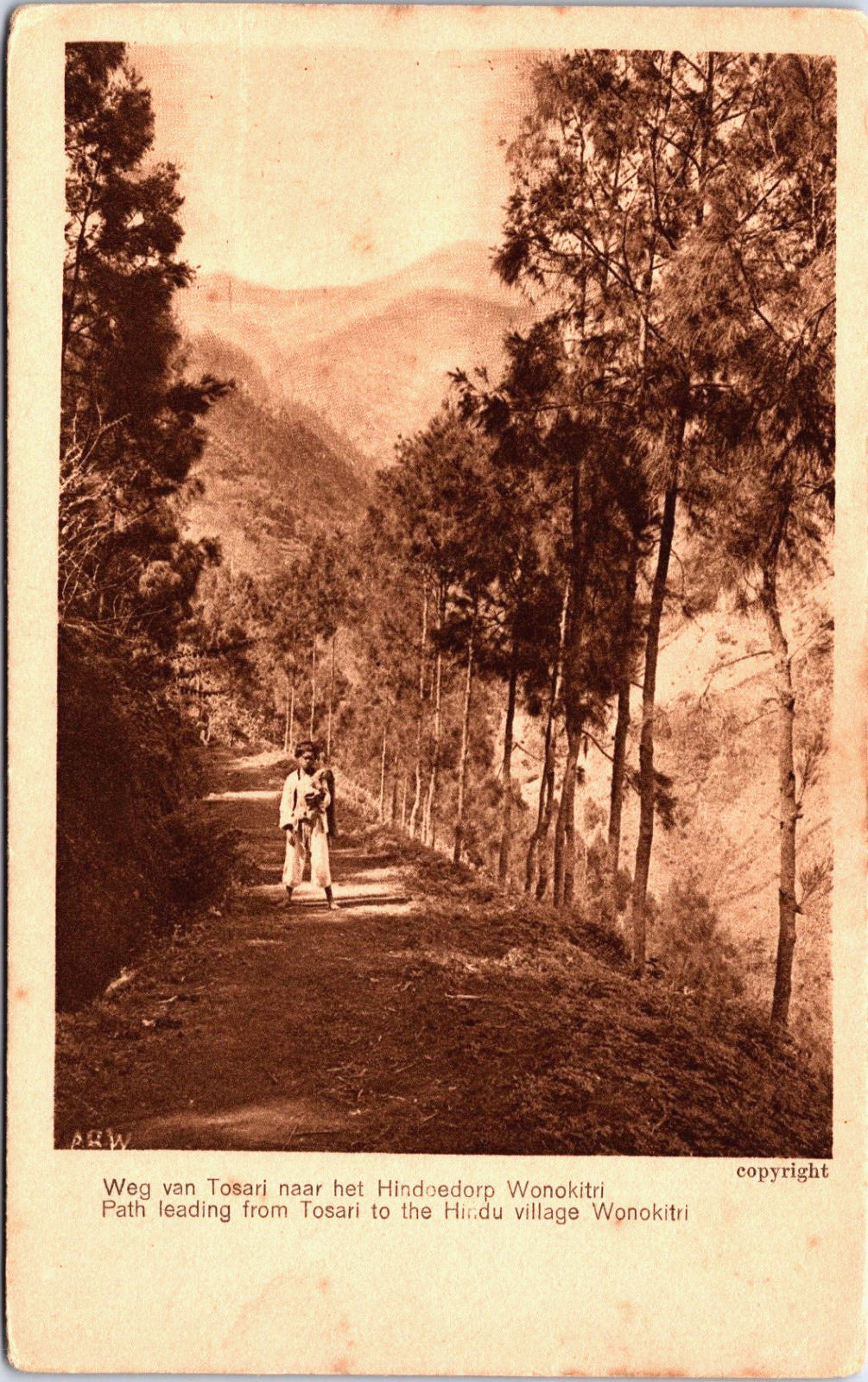 Indonesia Path Leading From Tosari To The Hindu Village Wonokitri Postcard C120