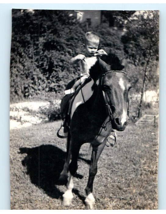 Vintage Photo 1940s, Toddler Riding a Pany, 3.5 x 2.5
