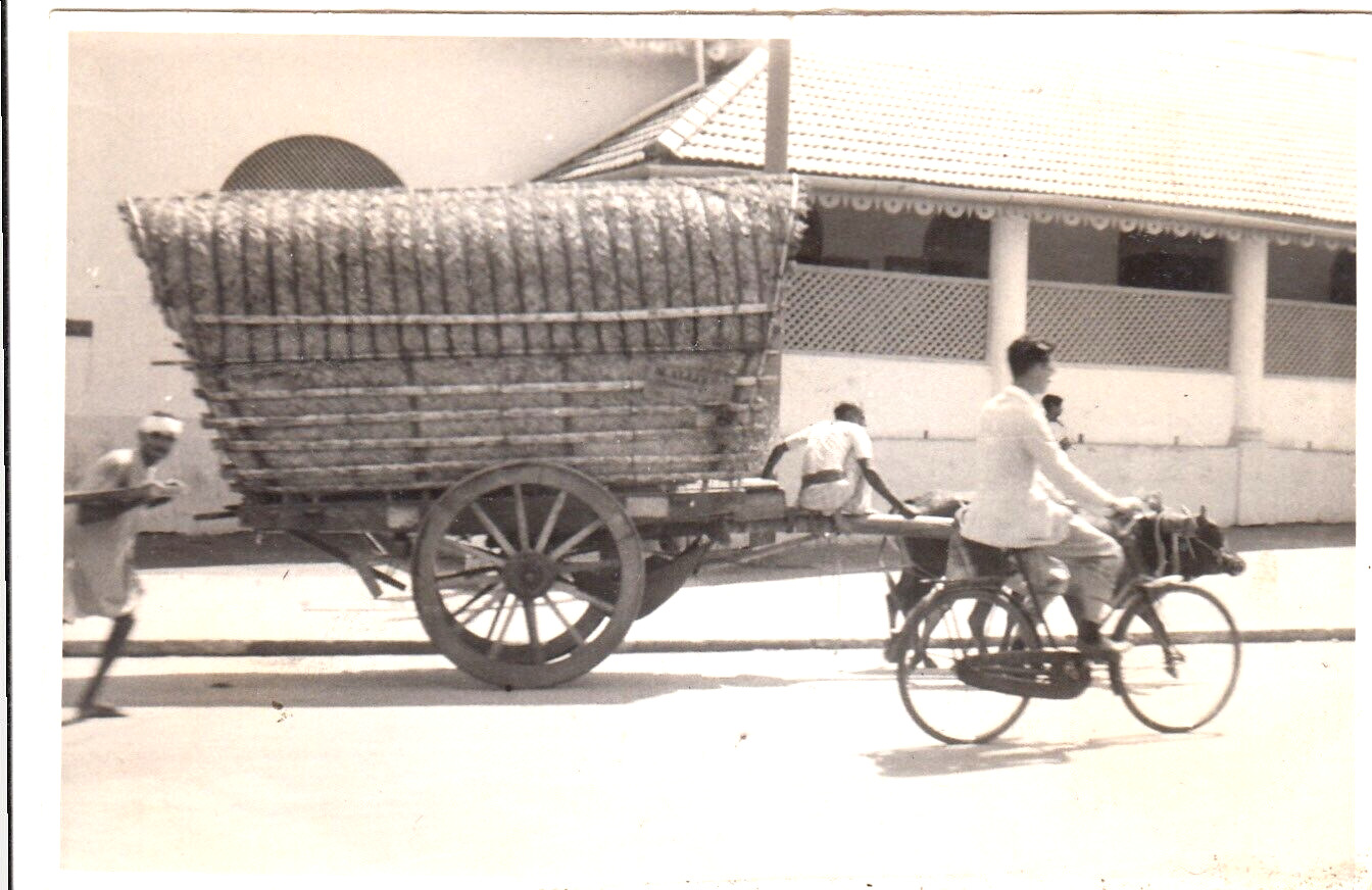 1940 WW2 Original Photo Colombo Ceylon Native Bullock Cart Sri Lanka Transport