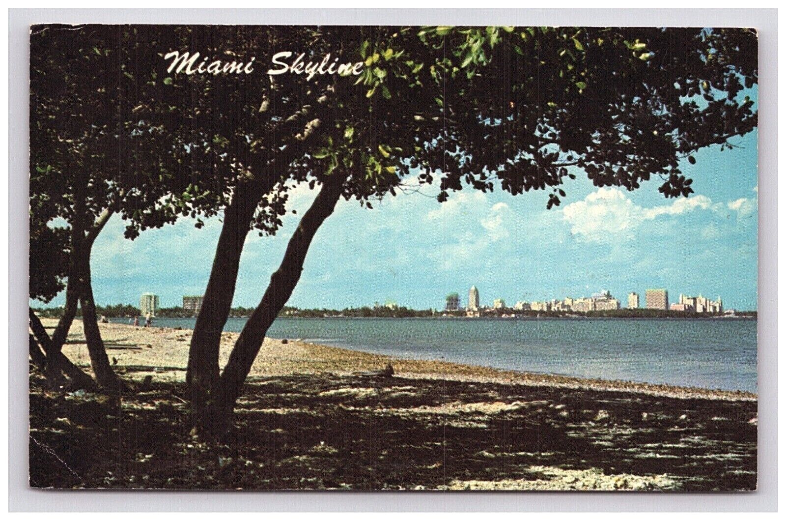 Postcard 1967 FL Beach Skyline Water Scenic City View Hotels Miami Florida  