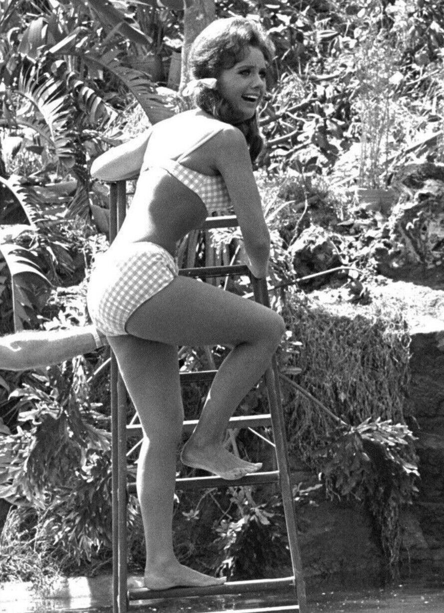 “Dawn Wells Maryanne 1960’s “Gilligans Island” Vintage 5X7 Glossy “Beautiful”💋