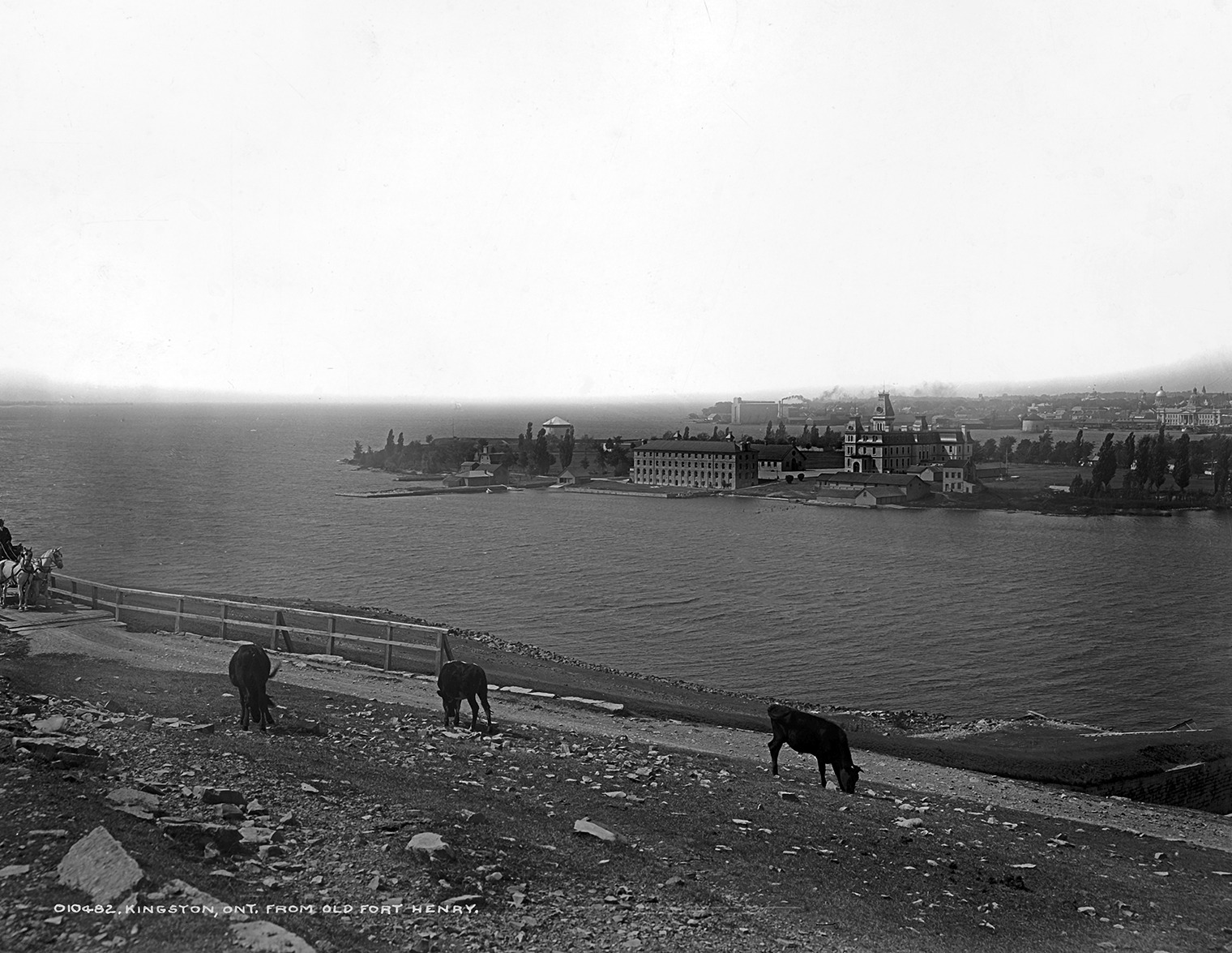 1900 Kingston, Ont. from Old Fort Henry Old Photo 8.5\