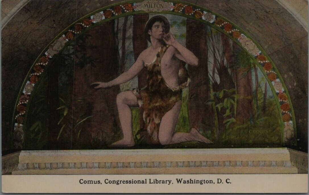 Vintage Milton Comus Congressional Library Washington DC Postcard C210