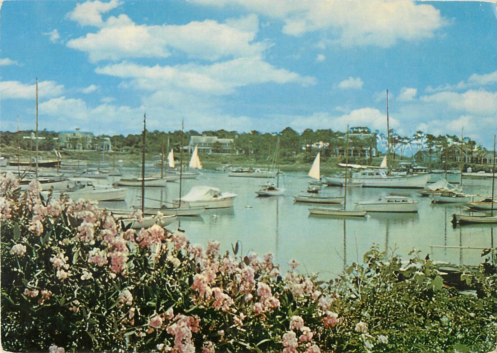 Wychmere Harbor Cape Cod Harwichport Massachusetts Giant Postcard 