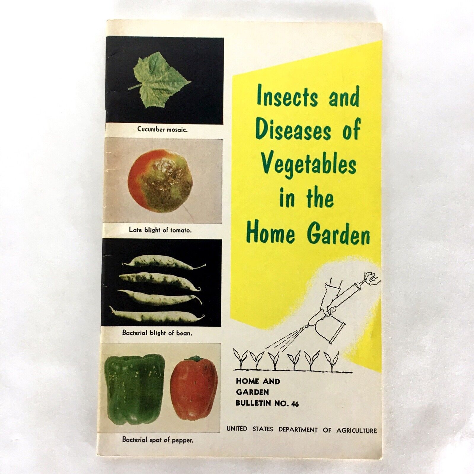 Vintage USDA 1956 Insect & Disease of Vegetables in the Home Garden Booklet